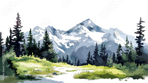Olympic National Park. Olympic National Park hand drawn watercolor illustration