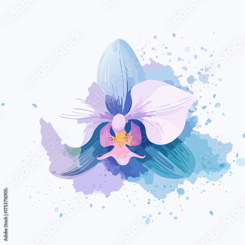 Nebelorchidee – geheimnisvolle Blüte im Dunst