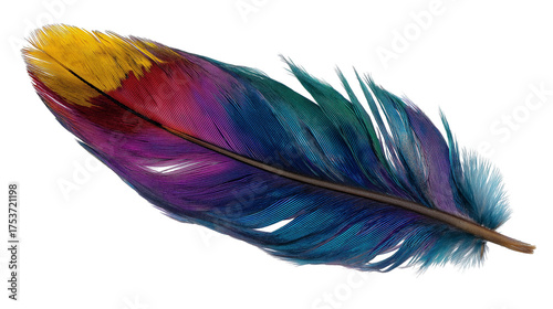 Colorful exotic feather PNG on transparent background