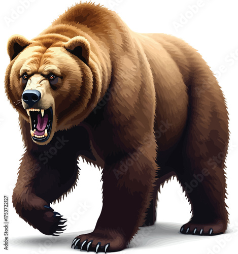 Fierce grizzly bear walking forward isolated on white background