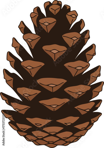 Pine cone natural botanical seed illustration in brown and dark brown colors vector art design 