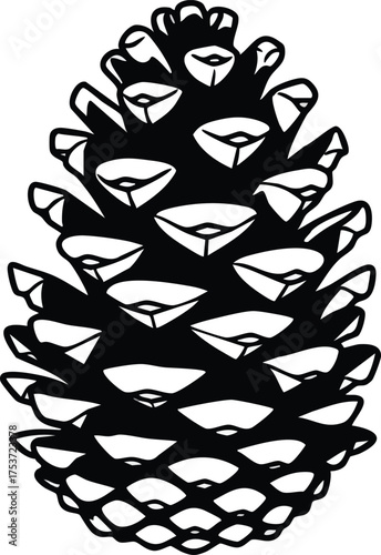 Pine cone vector illustration black and white natural botanical design for decoration and nature themes 