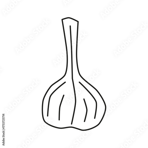 Cute hand drawn outline garlic icon isolated on white background. Healthy vegetarian food. Summer and autumn harvest.