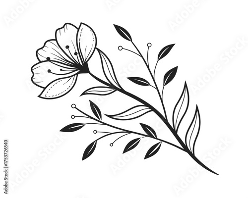 Elegant black and white floral illustration with detailed petals and leaves perfect for backgrounds and designs showcasing botanical beauty