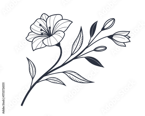 Elegant Floral Line Art Illustration with Blooming Flower and Buds for Graphic Design Projects and Creative Visuals