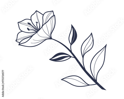 Elegant Floral Line Art Illustration of a Blooming Flower with Stem and Leaves on White Background Delicate Botanical Drawing