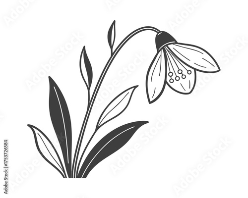 Elegant Snowdrop Flower Illustration in Black and White Delicate Floral Design Springtime Symbol Nature Drawing Botanical Art Isolated on White