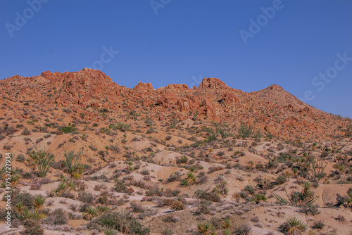 Foto Joshua Tree National Park Landscape Mojave Desert Scenery, Blue Sky, Rocks, and
