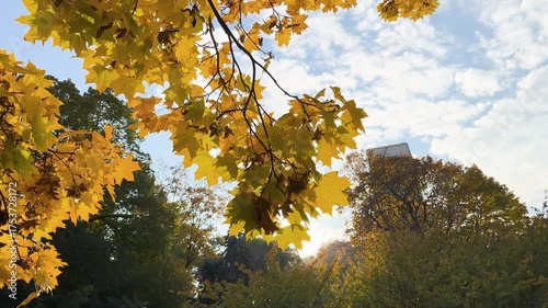 Warsaw, the capital of Poland, and the leaves painted in autumn colors