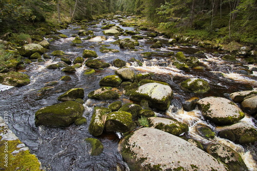 River Vydra in Bohemian Forest in Czech republic,Europe
