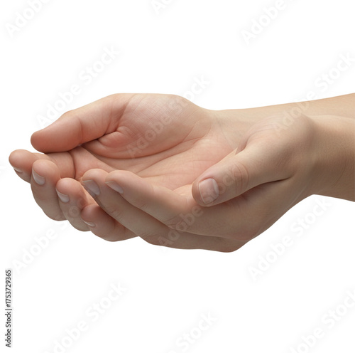 hand of a man 