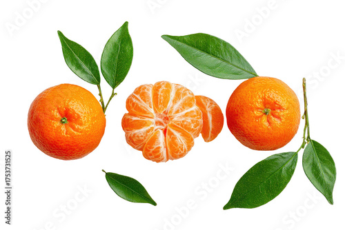 Fresh mandarins with leaves