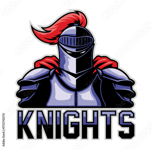 Knight Illustration: A detailed depiction of a medieval knight, fully armored and exuding strength and valor, set against a neutral backdrop.