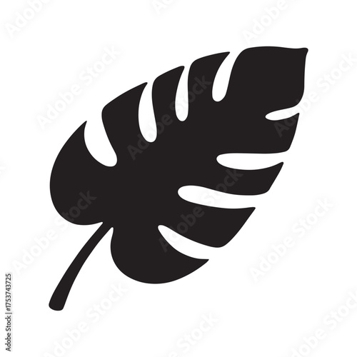 Silhouette of a monstera leaf, a tropical plant, vector graphic for design applications