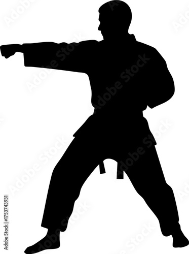 Dynamic martial artist executes powerful karate punch, embodying discipline and strength in a striking silhouette pose for action and fitness.