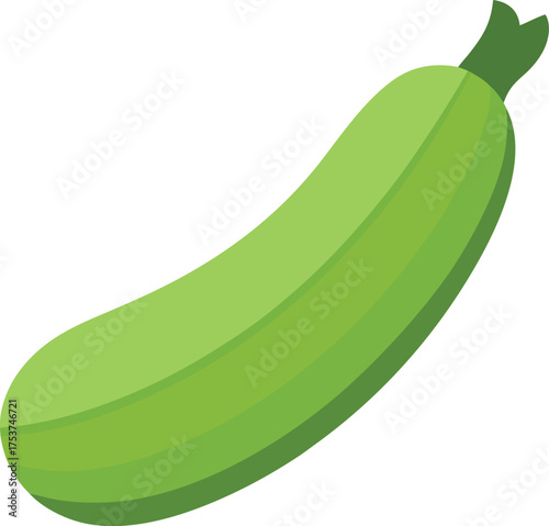 Green Zucchini Digital Illustration Minimalist Vegetable Art for Culinary Projects