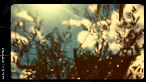 Retro vintage analog sun shining, palm leaves, summer sky