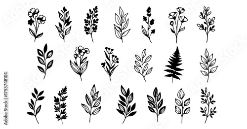 Elegant floral and botanical elements for your next design project, creating a natural, organic feel with delicate hand drawn style black & white icons