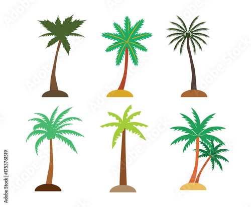 Palm tree silhouette