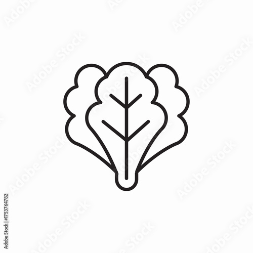 lettuce food icon sign vector