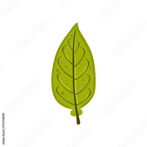 Bright Green Leaf Illustration for Nature, Freshness, Eco, and Environmental Themes