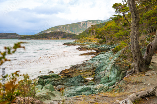 The green tinged rock and sand stand out along the shores of the Beagle channel at Ensenada Bay in Tierra del Fuego, Argentina