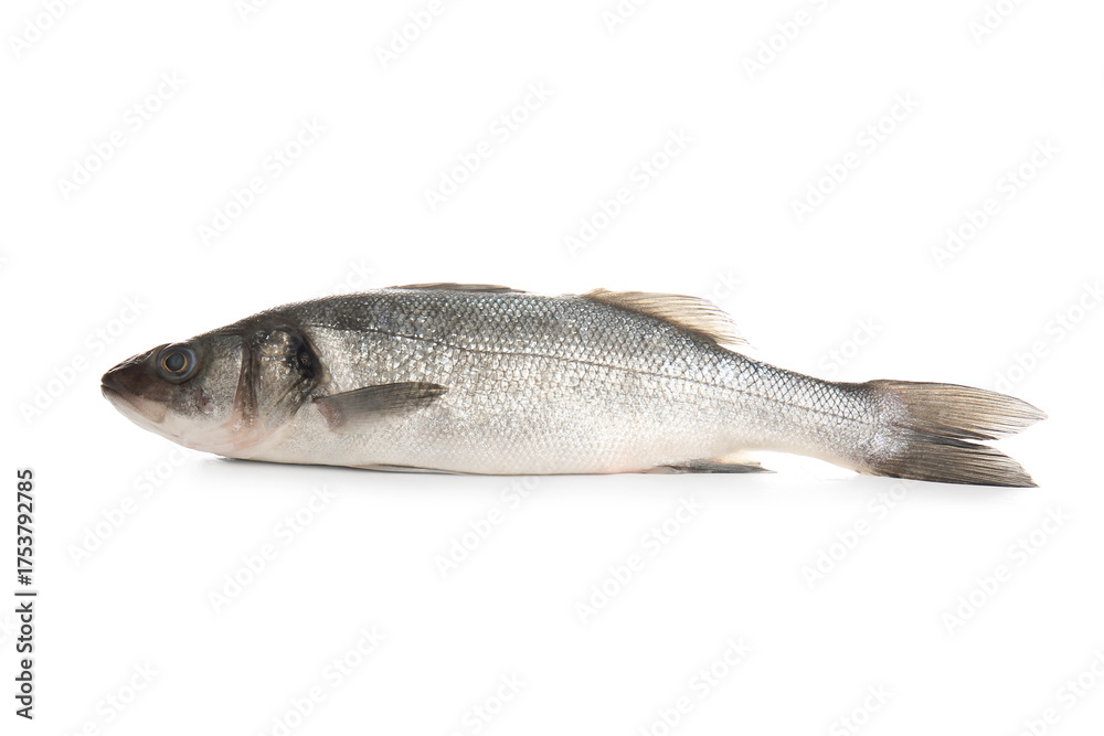 Fototapeta premium Fresh tasty seabass fish isolated on white background, closeup