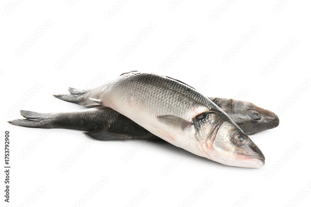 Obraz premium Uncooked seabass fish isolated on white background, closeup