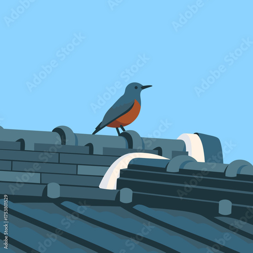 屋根の上の鳥