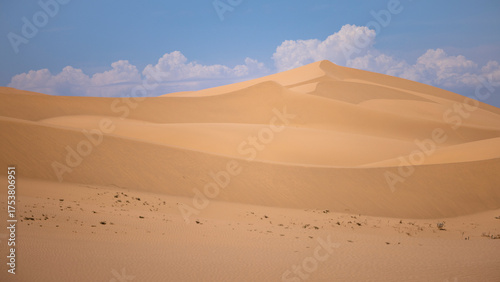Fototapeta Naklejka Na Ścianę i Meble -  sand dunes in California