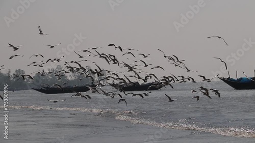 View of fishing boats and ganchils. A picturesque view of Dublar Char beach in the Sundarbans of Khulna district on a foggy morning in winter.