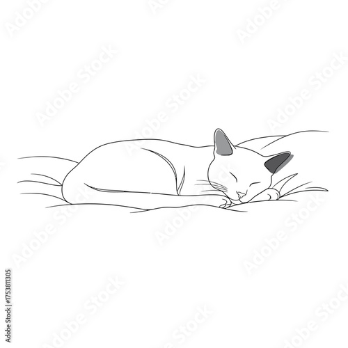 A serene cat sleeping peacefully on a cushion isolated on white background, depicted in a minimalist line art style, conveying tranquility and domestic comfort