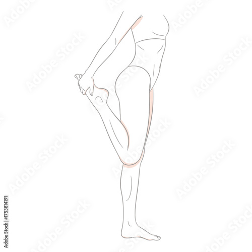 Woman doing quadriceps stretch isolated on white background this exercise improves flexibility, reduces muscle tension, and enhances athletic performance through targeted muscle lengthening