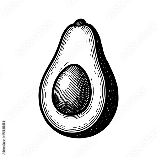 Vintage black and white vector illustration of a sliced avocado with seed, engraved style food drawing for organic, vegan, or natural product design