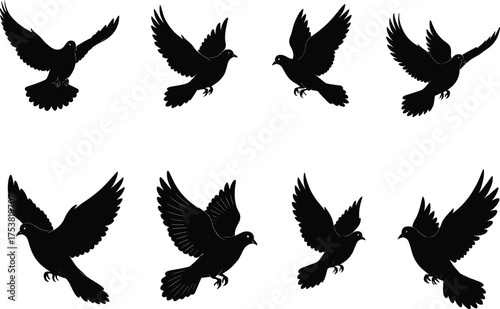 Flying bird silhouettes in motion, dove vector illustration, graceful wing poses, black avian shapes, pigeon flight dynamics, nature art, stock design element