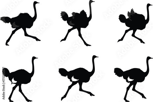 Ostrich running silhouette set, dynamic animal motion, black vector illustration, stride cycle variation, wildlife biomechanics, leg movement, posture change, speed concept