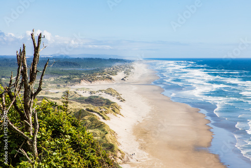 beach and sea