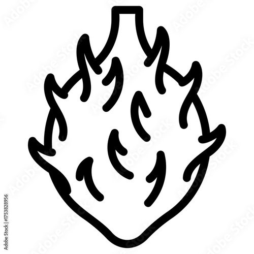 Dragon fruit icon