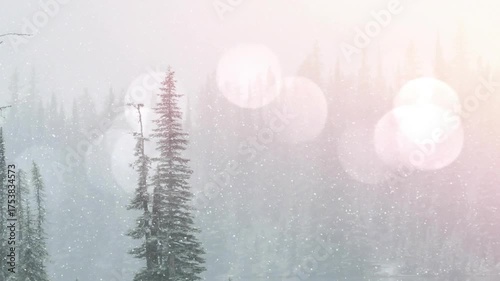 As snowflakes drifting pastel light filtering tilting revealing lake and rocky shore beneath firs