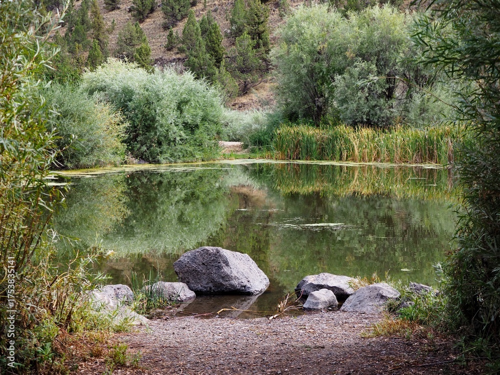 Obraz premium Kid’s Fishing Pond at Rimrock Park in Prineville in Central Oregon on a summer day.