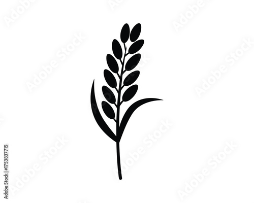 Black Silhouette of Rice Ear or Wheat Grain Vector Illustration