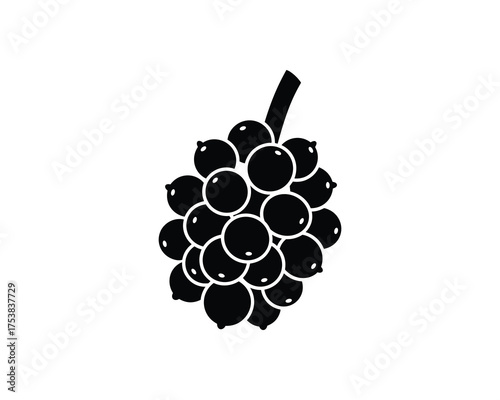 Blackberry or mulberry fruit cluster, Vector Illustration