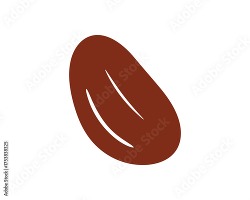Cocoa Bean Vector Illustration