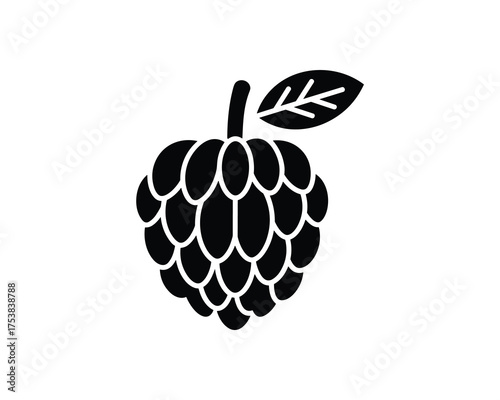 Custard apple fruit with leaf vector illustration