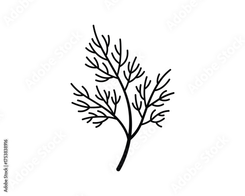 Dill Herb Outline Icon Vector Illustration