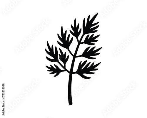 Dill herb plant icon. Aromatic seasoning vector illustration.