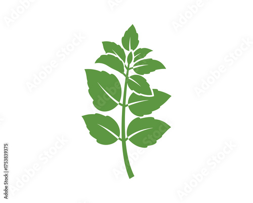 Fresh Mint Leaves Branch Green Vector Illustration