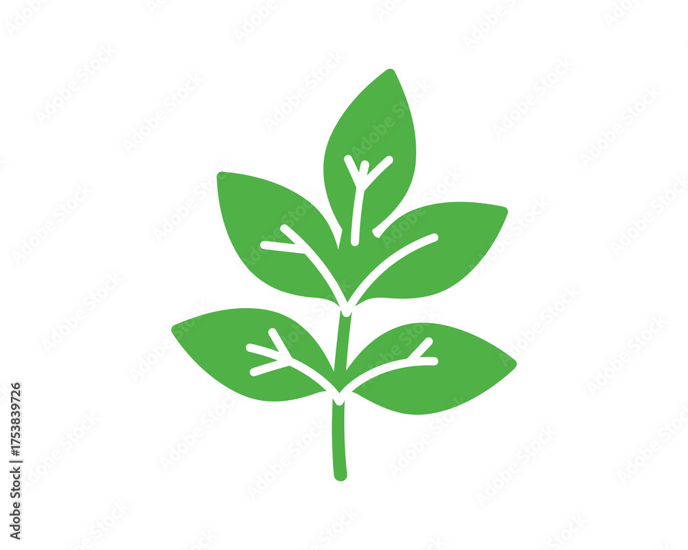 Fototapeta premium Green Leaf Branch Vector Illustration