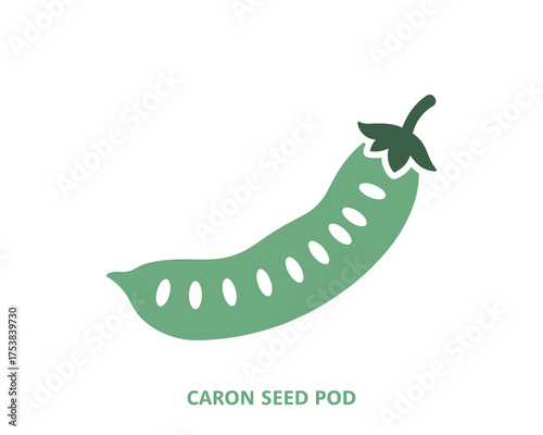 Green pea pod with peas inside vector illustration