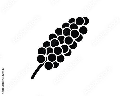 Millet or Grain Crop Head Vector Illustration
